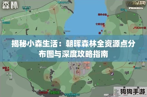 揭秘小森生活：朝晖森林全资源点分布图与深度攻略指南