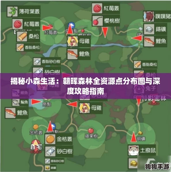 揭秘小森生活：朝晖森林全资源点分布图与深度攻略指南