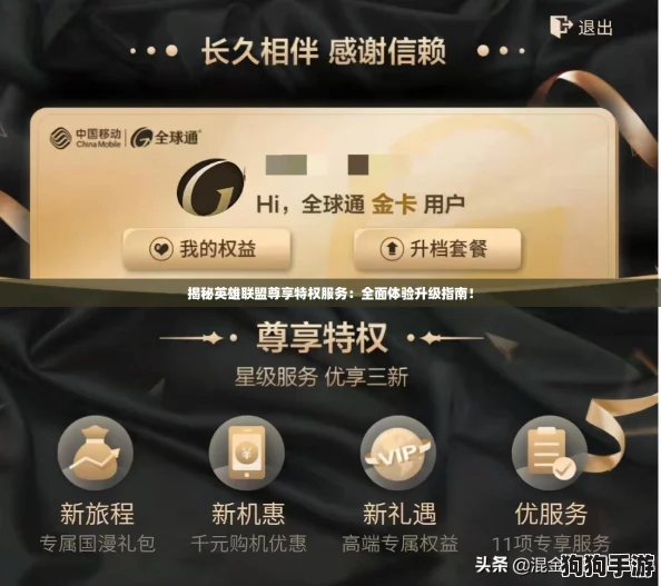 揭秘英雄联盟尊享特权服务：全面体验升级指南！