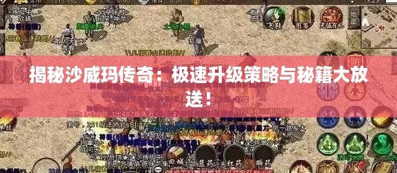 揭秘沙威玛传奇：极速升级策略与秘籍大放送！