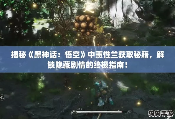 揭秘《黑神话：悟空》中蕙性兰获取秘籍，解锁隐藏剧情的终极指南！