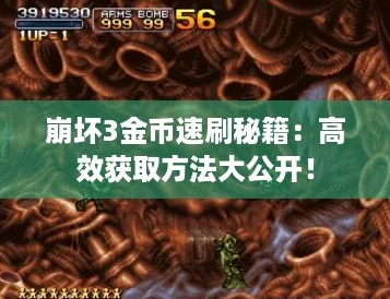 崩坏3金币速刷秘籍：高效获取方法大公开！