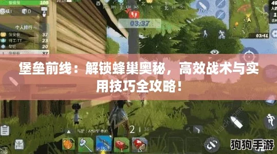 堡垒前线:解锁蜂巢奥秘,高效战术与实用技巧全攻略! 堡垒前线:解锁蜂巢奥秘,高效战术与实用技巧全攻略!