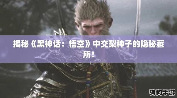 揭秘《黑神话:悟空》中交梨种子的隐秘藏所! 揭秘《黑神话:悟空》中交梨种子的隐秘藏所!