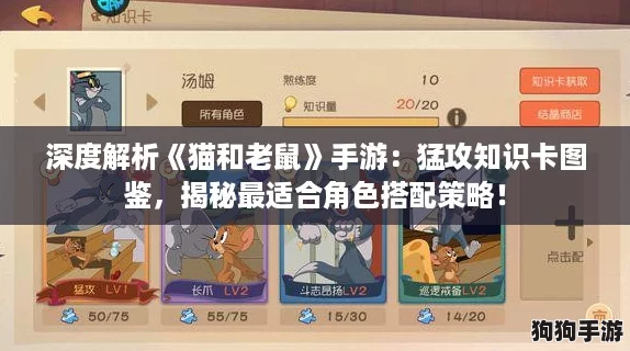 深度解析《猫和老鼠》手游：猛攻知识卡图鉴，揭秘最适合角色搭配策略！