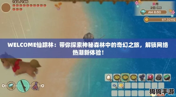 WELCOME仙踪林：带你探索神秘森林中的奇幻之旅，解锁网络热潮新体验！