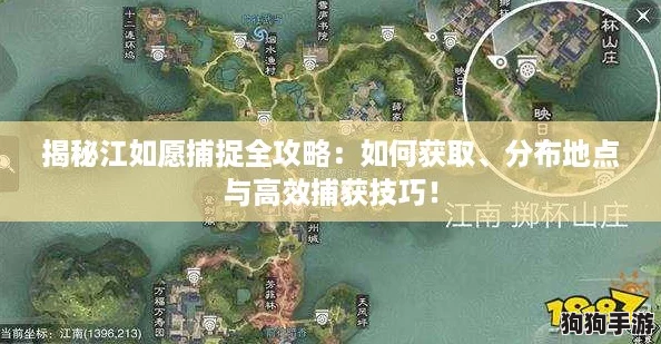 揭秘江如愿捕捉全攻略：如何获取、分布地点与高效捕获技巧！
