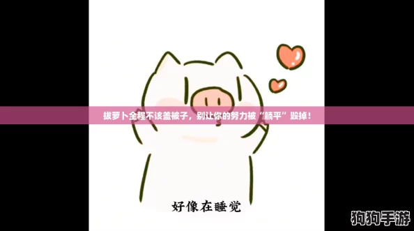 拔萝卜全程不该盖被子，别让你的努力被“躺平”毁掉！