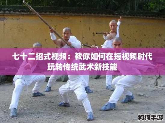 七十二招式视频：教你如何在短视频时代玩转传统武术新技能