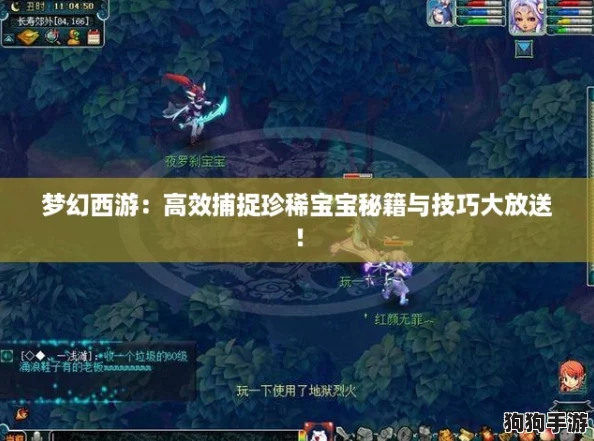 梦幻西游:高效捕捉珍稀宝宝秘籍与技巧大放送! 梦幻西游:高效捕捉珍稀宝宝秘籍与技巧大放送!
