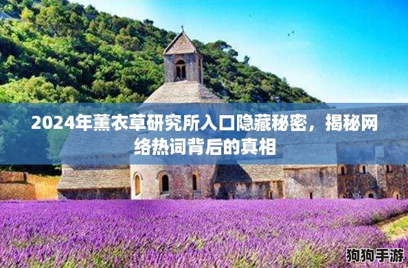 2024年薰衣草研究所入口隐藏秘密，揭秘网络热词背后的真相