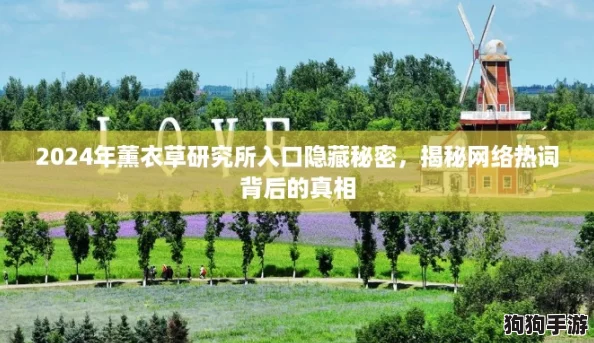 2024年薰衣草研究所入口隐藏秘密,揭秘网络热词背后的真相 2024年薰衣草研究所入口隐藏秘密,揭秘网络热词背后的真相