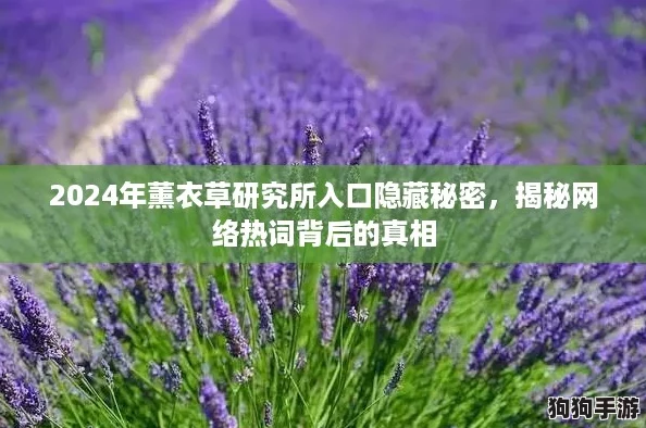 2024年薰衣草研究所入口隐藏秘密,揭秘网络热词背后的真相 2024年薰衣草研究所入口隐藏秘密,揭秘网络热词背后的真相