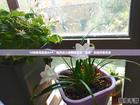 10种禁用免费APP，使用后让你瞬间变成“韭菜”的绝对黑名单
