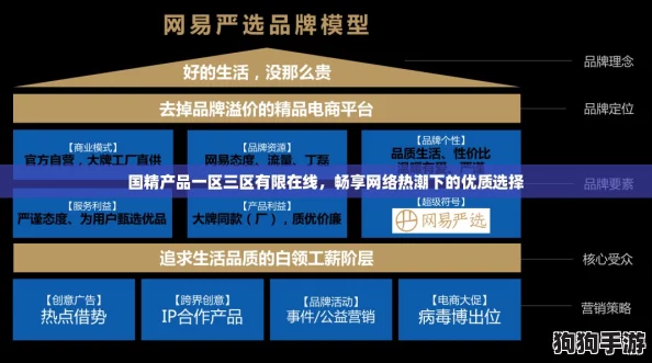 国精产品一区三区有限在线，畅享网络热潮下的优质选择
