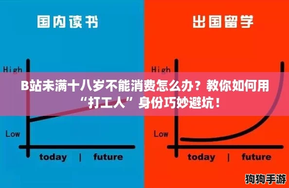B站未满十八岁不能消费怎么办？教你如何用“打工人”身份巧妙避坑！