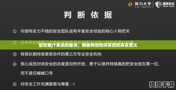 是收集JY系统的秘诀，揭秘网络热词背后的真实意义