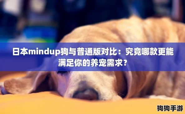 日本mindup狗与普通版对比：究竟哪款更能满足你的养宠需求？