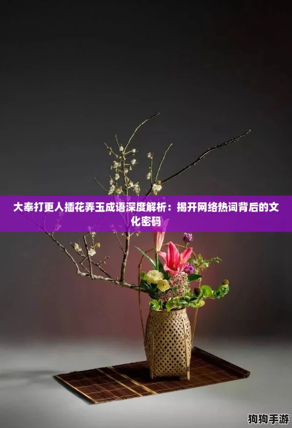 大奉打更人插花弄玉成语深度解析：揭开网络热词背后的文化密码