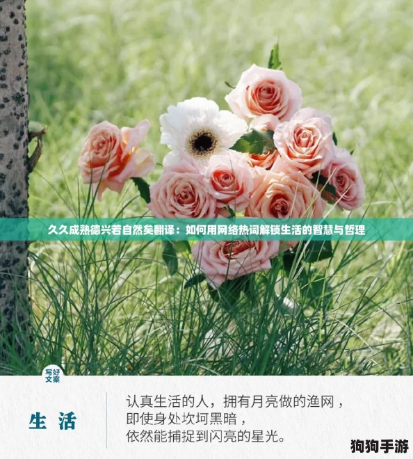 久久成熟德兴若自然矣翻译：如何用网络热词解锁生活的智慧与哲理