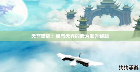 天宫奇遇：我与天界的修为飙升秘籍