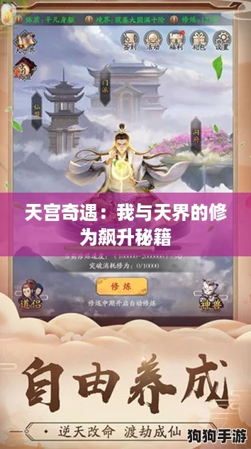 天宫奇遇：我与天界的修为飙升秘籍