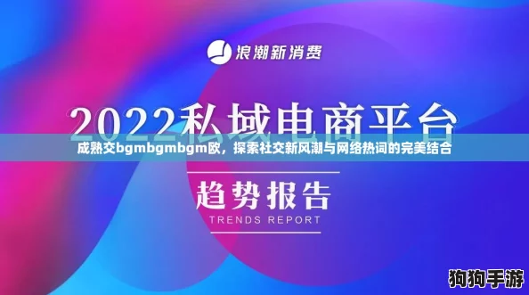 成熟交bgmbgmbgm欧，探索社交新风潮与网络热词的完美结合