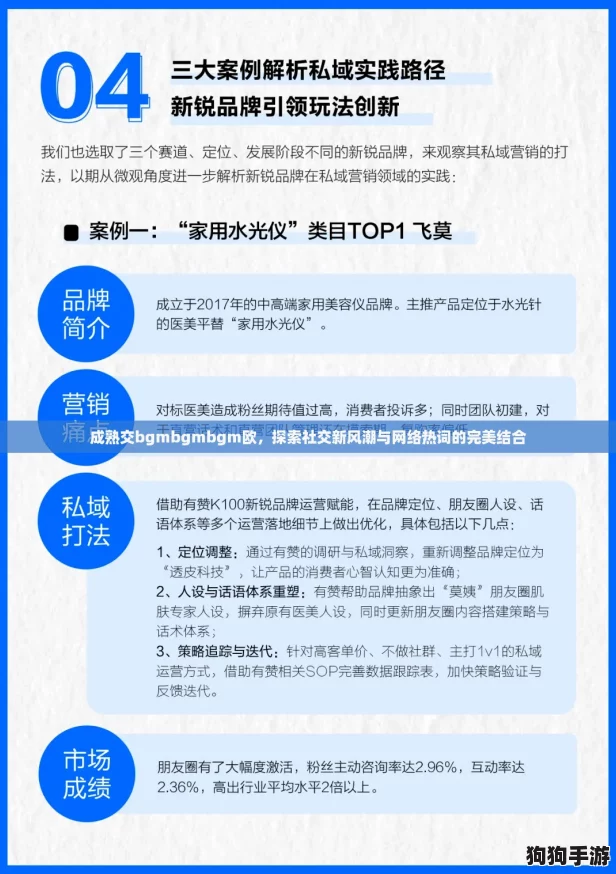 成熟交bgmbgmbgm欧，探索社交新风潮与网络热词的完美结合