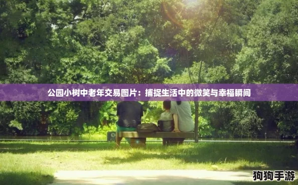 公园小树中老年交易图片:捕捉生活中的微笑与幸福瞬间 公园小树中老年交易图片:捕捉生活中的微笑与幸福瞬间