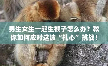 男生女生一起生猴子怎么办?教你如何应对这波“扎心”挑战! 男生女生一起生猴子怎么办?教你如何应对这波“扎心”挑战!