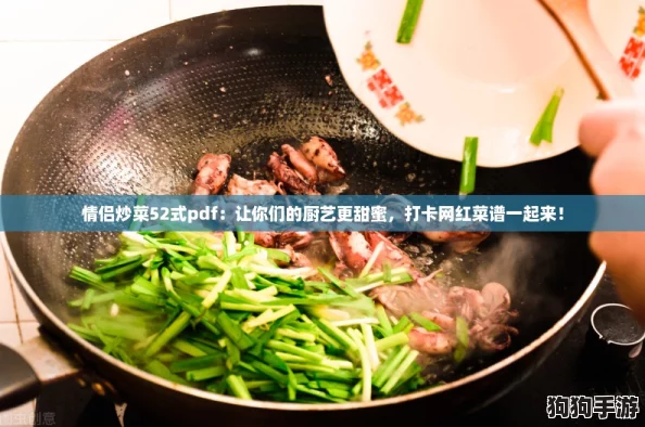 情侣炒菜52式pdf：让你们的厨艺更甜蜜，打卡网红菜谱一起来！
