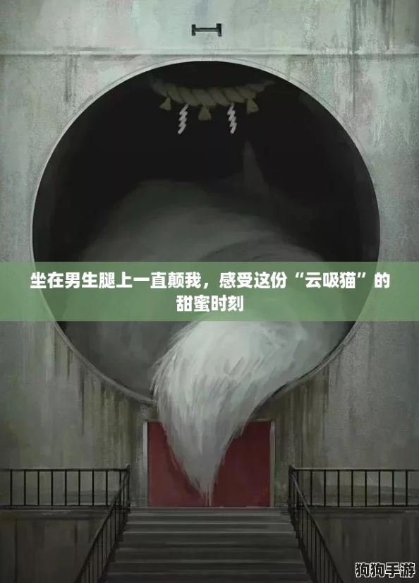 坐在男生腿上一直颠我，感受这份“云吸猫”的甜蜜时刻