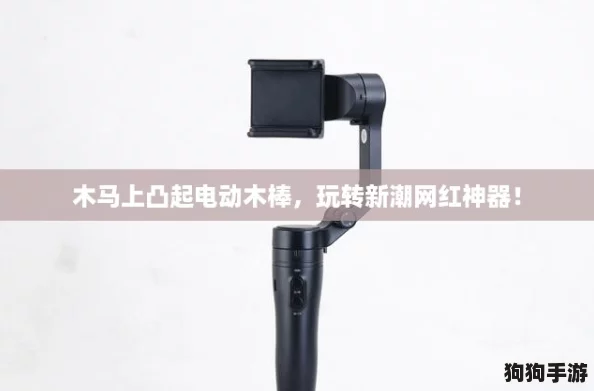 木马上凸起电动木棒，玩转新潮网红神器！