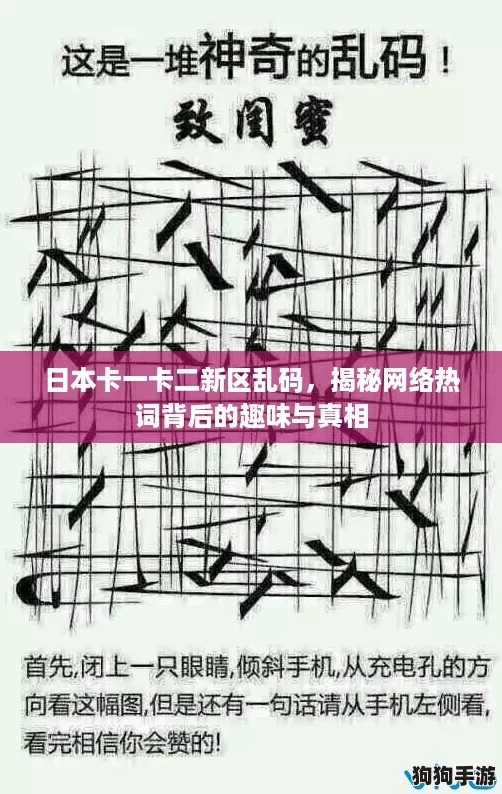 日本卡一卡二新区乱码，揭秘网络热词背后的趣味与真相