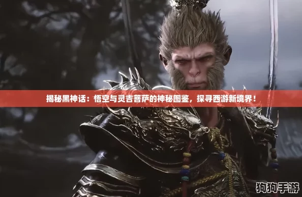 揭秘黑神话：悟空与灵吉菩萨的神秘图鉴，探寻西游新境界！