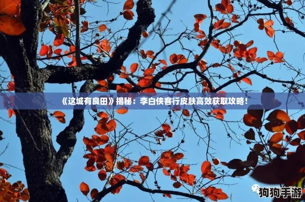 《这城有良田》揭秘：李白侠客行皮肤高效获取攻略！