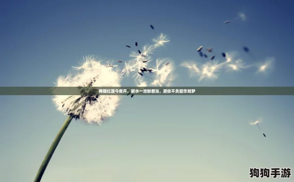 两瓣红莲今夜开，碧水一池盼君浴，愿你不负韶华如梦