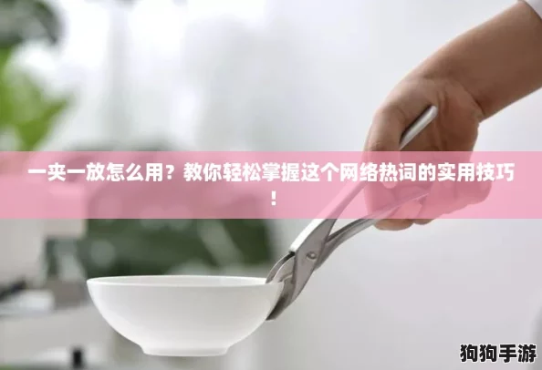 一夹一放怎么用？教你轻松掌握这个网络热词的实用技巧！