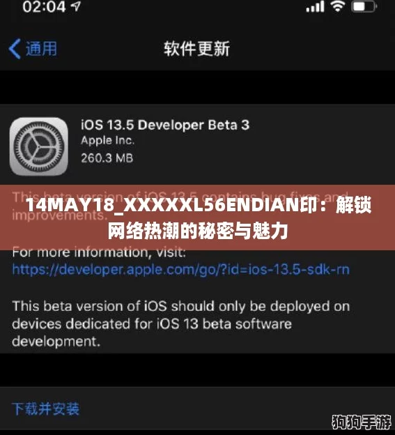 14MAY18_XXXXXL56ENDIAN印：解锁网络热潮的秘密与魅力