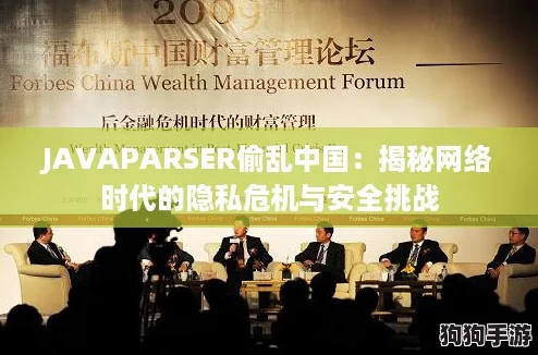 JAVAPARSER偷乱中国：揭秘网络时代的隐私危机与安全挑战