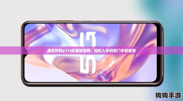 成色好的y31s标准版官网，轻松入手的热门手机推荐