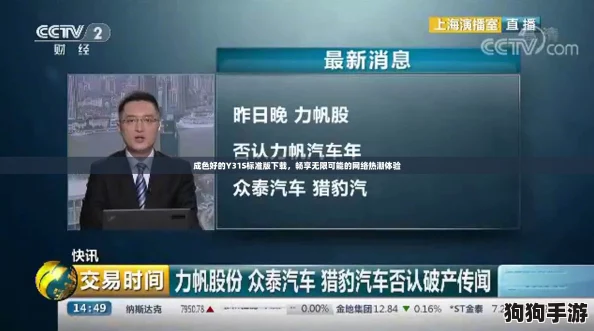 成色好的Y31S标准版下载，畅享无限可能的网络热潮体验