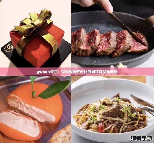 gwoon荷兰：探索超高性价比的网红食品新选择