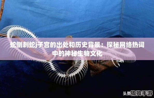 蛇倒刺蛇j子宫的出处和历史背景：探秘网络热词中的神秘生物文化