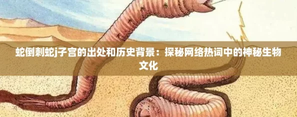 蛇倒刺蛇j子宫的出处和历史背景：探秘网络热词中的神秘生物文化