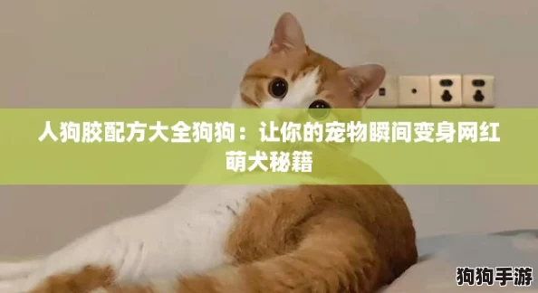 人狗胶配方大全狗狗：让你的宠物瞬间变身网红萌犬秘籍