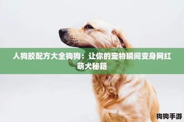 人狗胶配方大全狗狗：让你的宠物瞬间变身网红萌犬秘籍