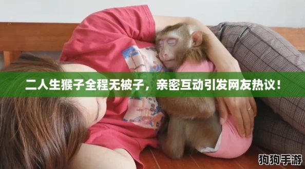 二人生猴子全程无被子，亲密互动引发网友热议！