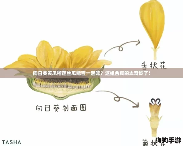 向日葵黄瓜榴莲丝瓜能否一起吃？这组合真的太奇妙了！