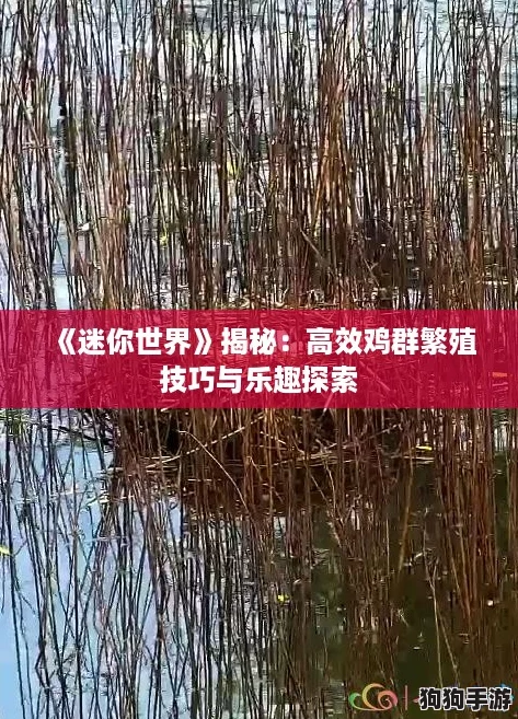 《迷你世界》揭秘:高效鸡群繁殖技巧与乐趣探索 《迷你世界》揭秘:高效鸡群繁殖技巧与乐趣探索